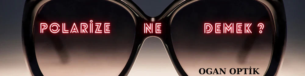 Polarize Ne Demek?