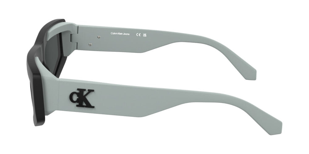 Calvin Klein CKJ25607S-001 Kadın Güneş Gözlüğü