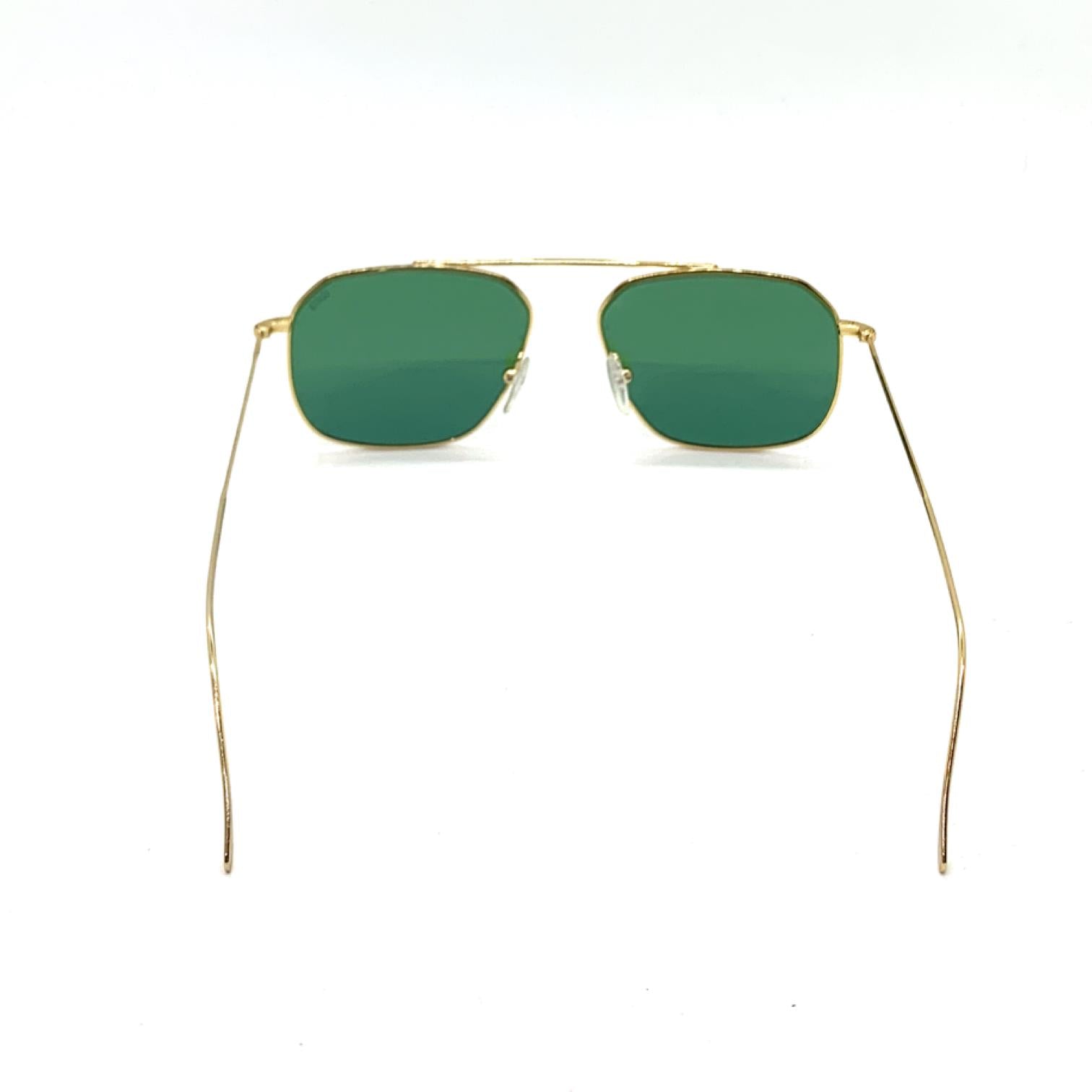 DP69 DPS043 C2 Unisex Güneş Gözlüğü