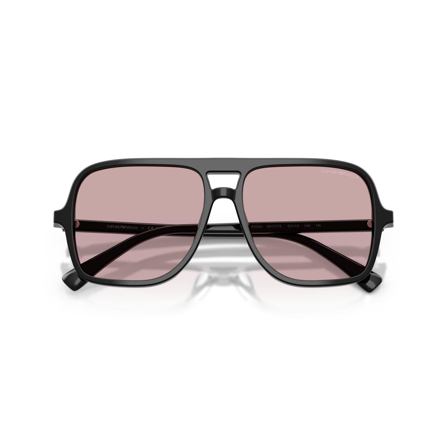 Emporio Armani EA4252U 501773 Unisex Güneş Gözlüğü