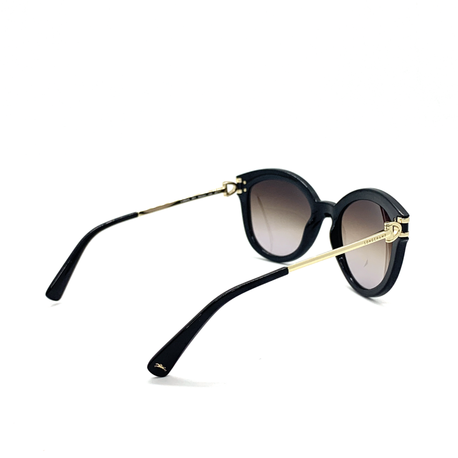 Longchamp LO604S 001 Kadın Güneş Gözlüğü