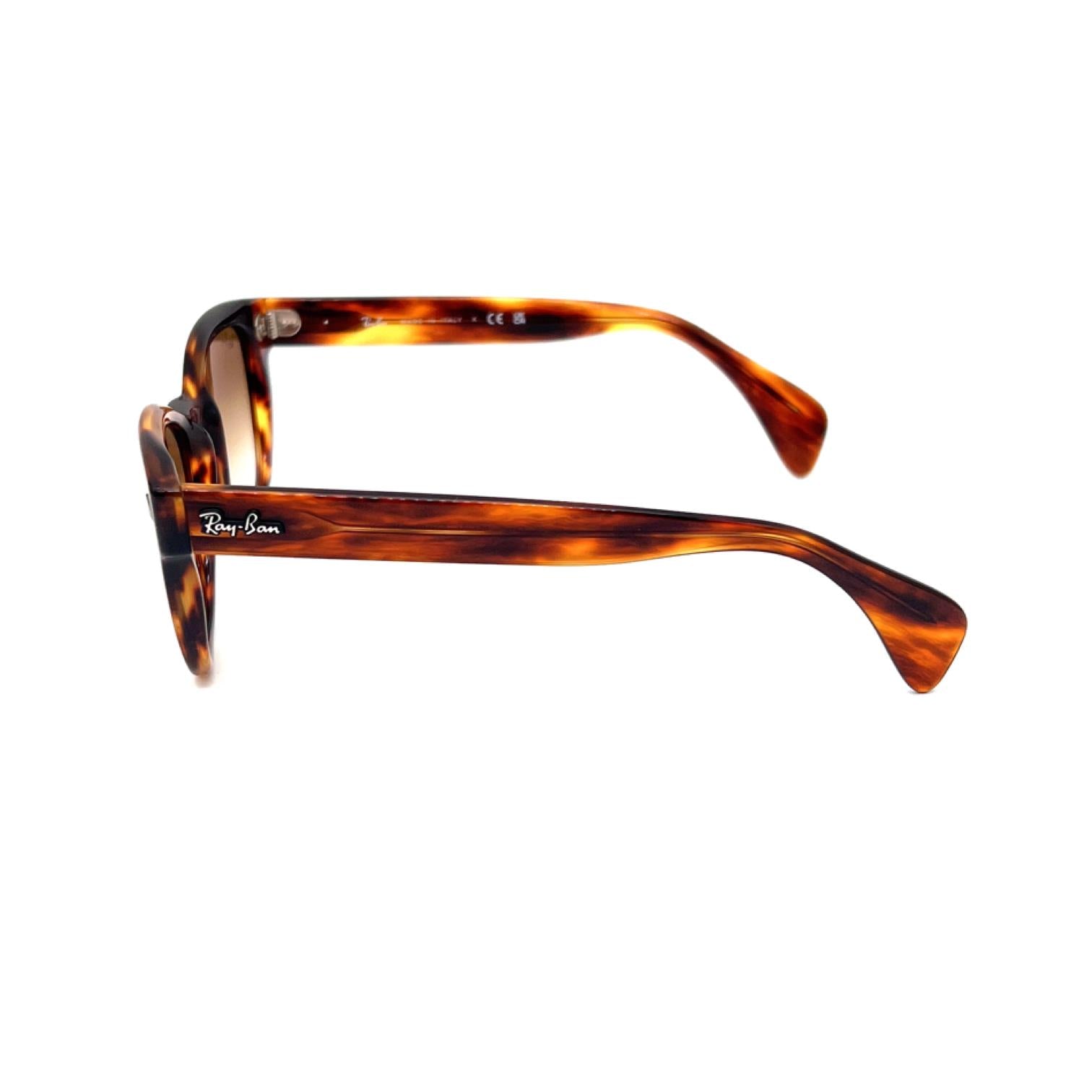 Ray-Ban RB0880S 954 51 Kadın Güneş Gözlüğü