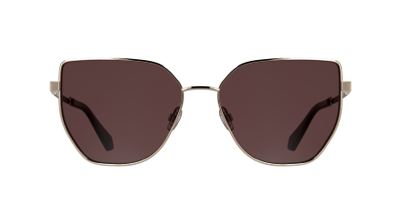 Calvin Klein Jeans CKJ25209S-770 Kadın Güneş Gözlüğü