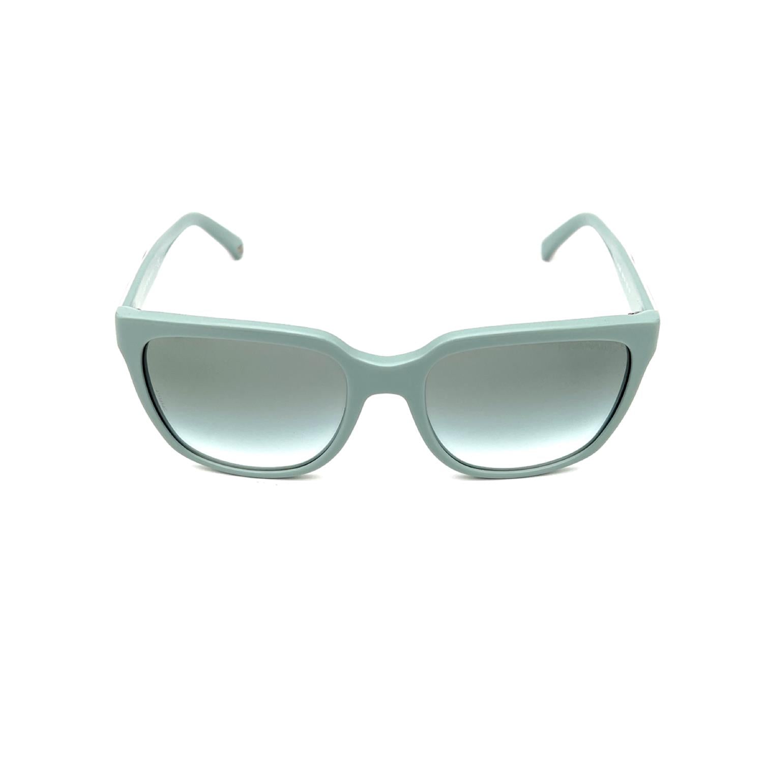 Emporio Armani EA4070 5512 8E Kadın Güneş Gözlüğü