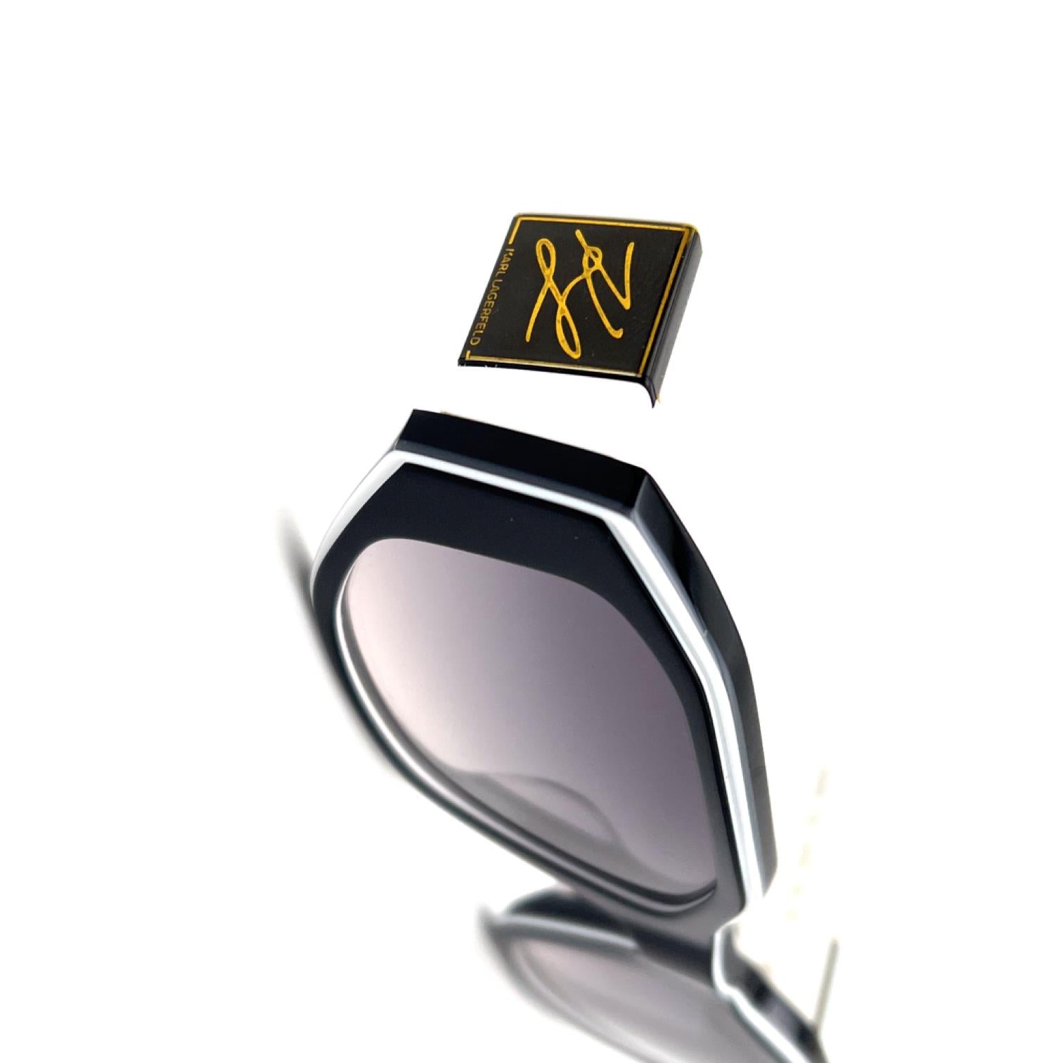 Karl Lagerfeld KL6073S 006 Kadın Güneş Gözlüğü