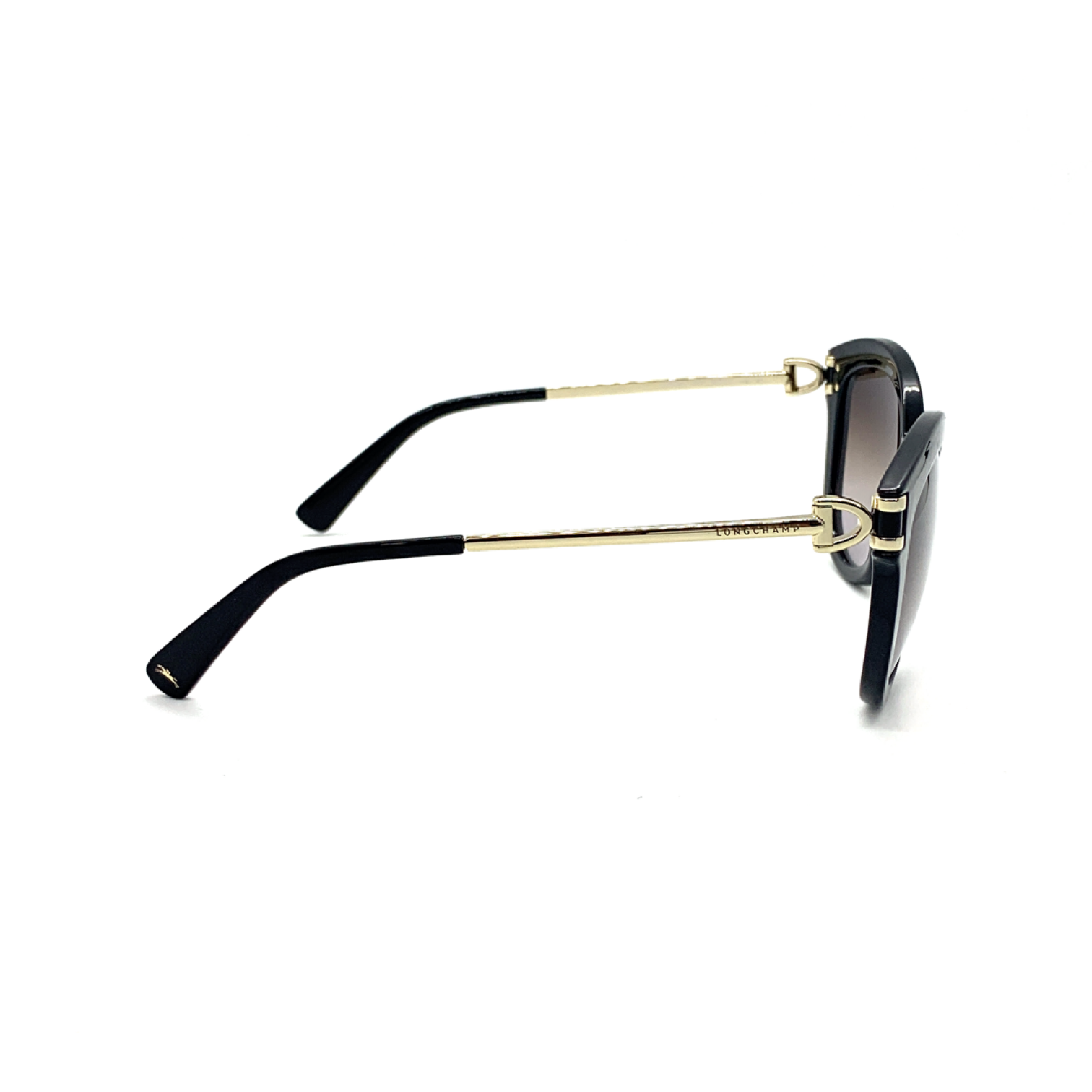 Longchamp LO604S 001 Kadın Güneş Gözlüğü