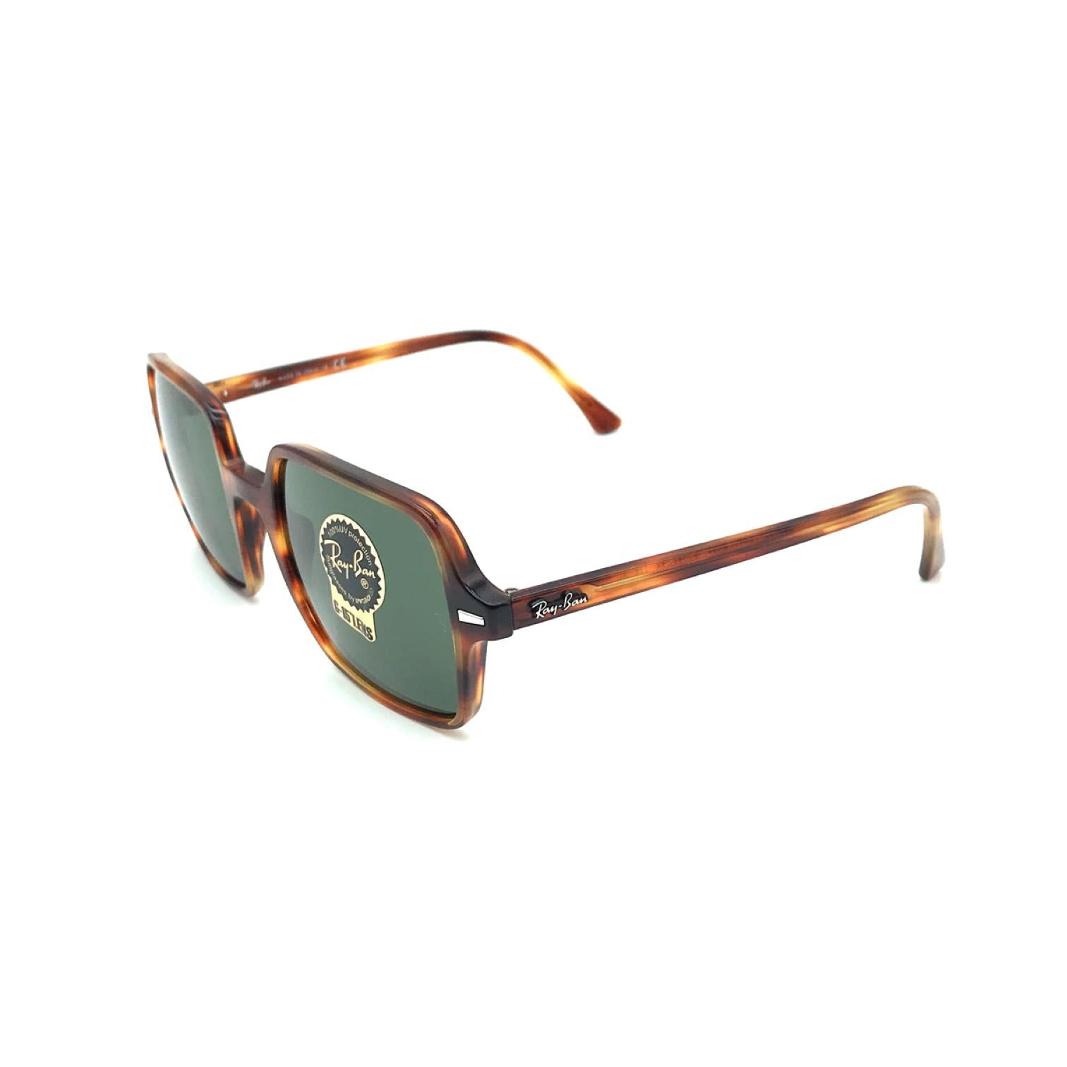 Ray-Ban RB1973 954 Kadın Güneş Gözlüğü